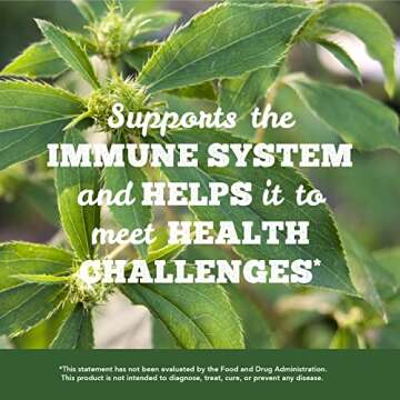 St. Francis Herb Farm Deep Immune Herbal Tincture 100ml