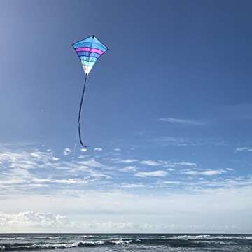 In the Breeze Fly-Hi Kite