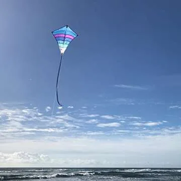 In the Breeze Fly-Hi Kite