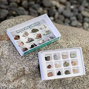 Educational Insights Igneous Rock Collection for Ages 8+