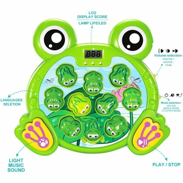Whack A Frog Game - Interactive Learning Toy for Kids