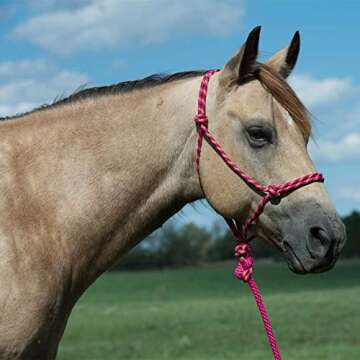 Weaver Leather Black Rope Halter and Lead Set - Durable