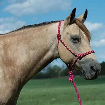 Weaver Leather Black Rope Halter and Lead Set - Durable