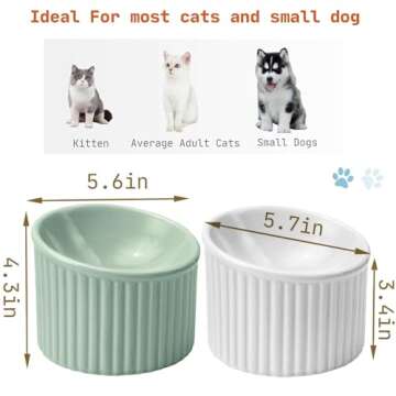 SUNQEBO Elevated Cat Bowls, Raised Cat Bowl for Indoor Cats, Tilted Ceramic Elevated Food or Water Bowls Anti Vomit Whisker Friendly Bowls 2 Pcs, Round Shape (White + Light Green)