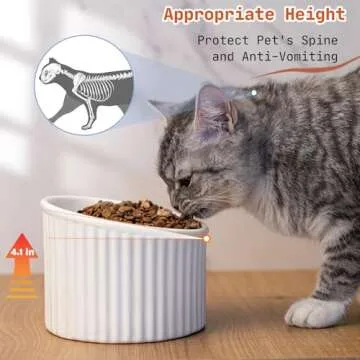 Elevated Cat Bowls for Comfortable Eating Experience