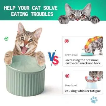 Elevated Cat Bowls for Comfortable Eating Experience