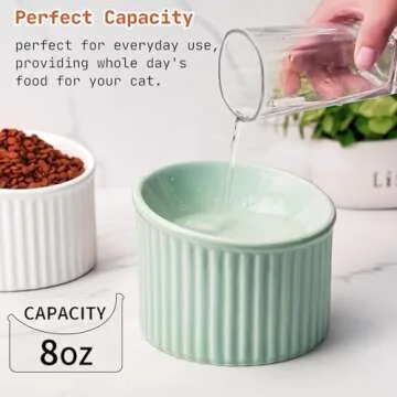 Elevated Cat Bowls for Comfortable Eating Experience