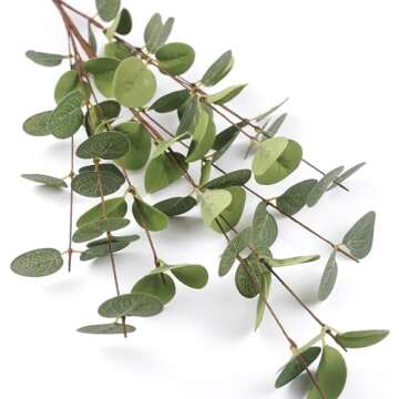 HomeKaren Eucalyptus Stems for Elegant Decor Solutions