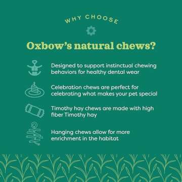 Oxbow Enriched Life Natural Dangly Party Pack - Small Pet Toy - Great for Guinea Pigs, Rabbits, and Other Small Animals