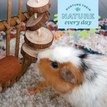 Oxbow Enriched Life Natural Dangly Party Pack - Small Pet Toy - Great for Guinea Pigs, Rabbits, and Other Small Animals