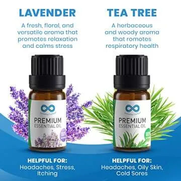 Everlasting Comfort Pure Essential Oils Set - Natural Aromatherapy Essential Oils for Diffuser, Humidifier, Home, Skin - Lavender, Geranium, Vanilla, Eucalyptus, Tea Tree, Sweet Orange Fragrance Kit