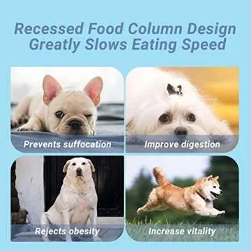 MYPETAGS Dog Bowl for Slow Feeding and Fun Licking