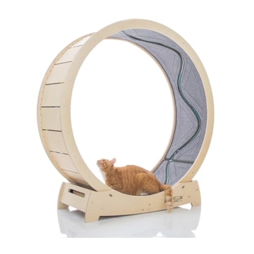 Star Cat Wheel, Cat Treadmill, Exercise Wheel for Running, Spinning, Scratching, and Climbing for In...