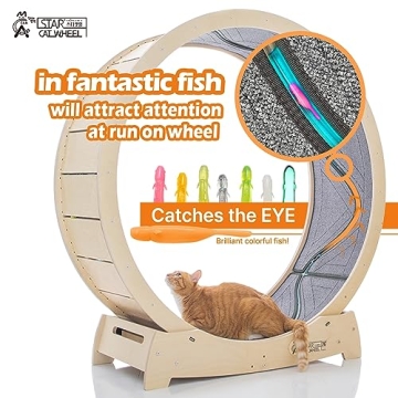 Star Cat Wheel Exercise Treadmill for Indoor Cats