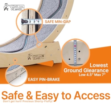 Star Cat Wheel Exercise Treadmill for Indoor Cats