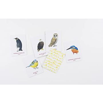 Match a Pair of Birds Memory Game for All Ages