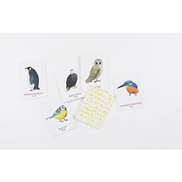 Match a Pair of Birds Memory Game for All Ages