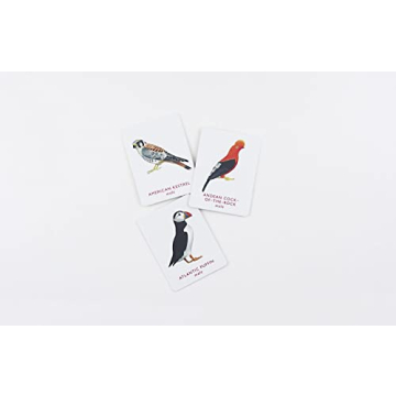 Match a Pair of Birds Memory Game for All Ages