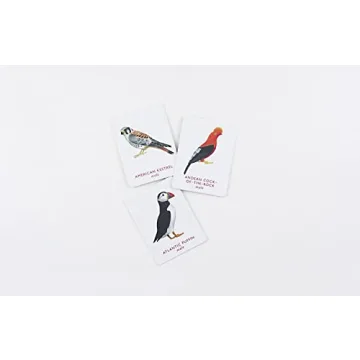 Match a Pair of Birds Memory Game for All Ages