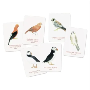 Match a Pair of Birds Memory Game for All Ages