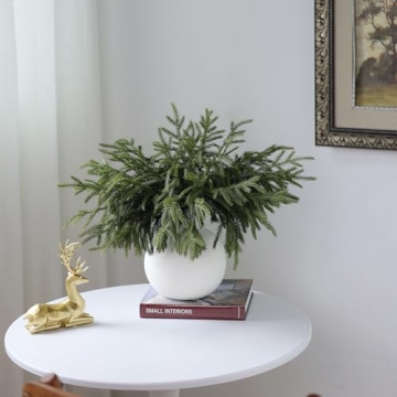 32 Pcs Real Touch Norfolk Pine Branches for Home Decor