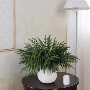 32 Pcs Real Touch Norfolk Pine Branches for Home Decor