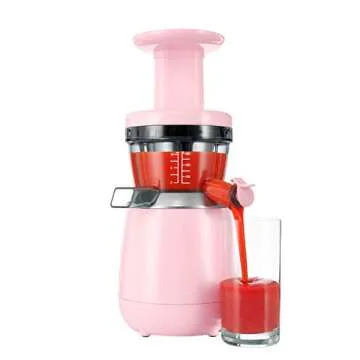 Hurom H310A Personal Self Feeding Slow Masticating Juicer (HP Pink)