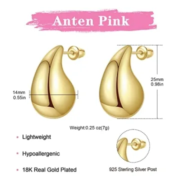 Anten Pink Gold Hoop Earrings - Lightweight Trendy Jewelry