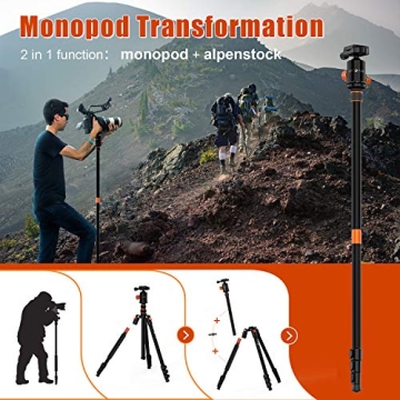 PHOPIK 77" Camera Tripod for DSLR - Lightweight & Adjustable