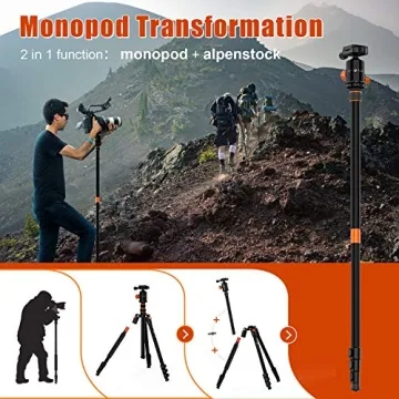 PHOPIK 77" Camera Tripod for DSLR - Lightweight & Adjustable