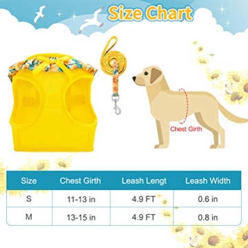 Stylish BINGPET Dog Harness for Small Dogs