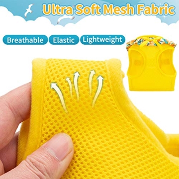 Stylish BINGPET Dog Harness for Small Dogs