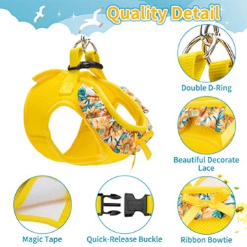 Stylish BINGPET Dog Harness for Small Dogs