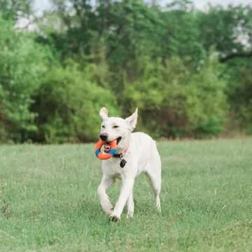 Chuckit! Ring Chaser Dog Ball Launcher for Ultimate Fetch Fun