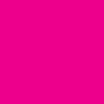 Krylon Fusion Hot Pink Spray Paint - All Surface Use