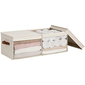 StorageWorks Storage Bins with Lids and Clear Windows