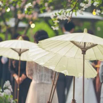 Koyal Wholesale 32" Ivory Paper Parasol Umbrella 4 Pack, Large Paper Umbrella Bulk, Paper Parasol We...