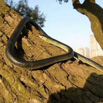 Realistic 52-Inch Rubber Snake for Gag Gifts