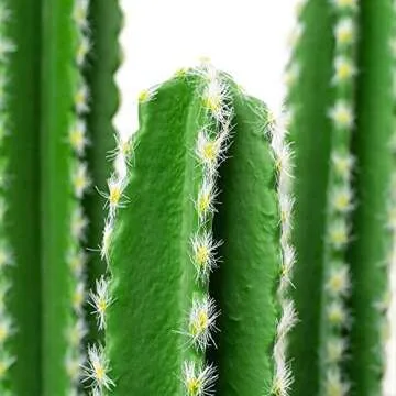 Simple Elements Fake Cactus - Artificial Plant for All Occasions