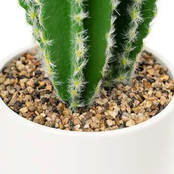 Simple Elements Fake Cactus - Artificial Plant for All Occasions