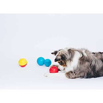 Interactive Dog Toy - Pet Qwerks Babble Ball