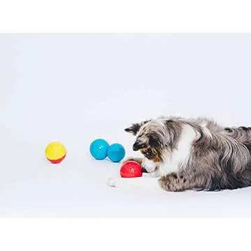 Interactive Dog Toy - Pet Qwerks Babble Ball
