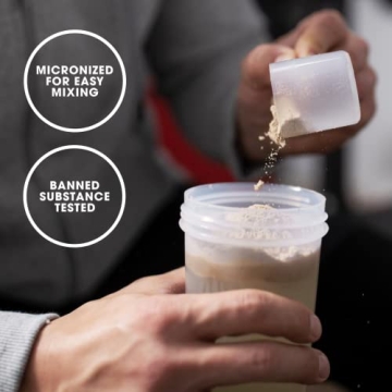 Optimum Nutrition Micronized Creatine for Enhanced Performance