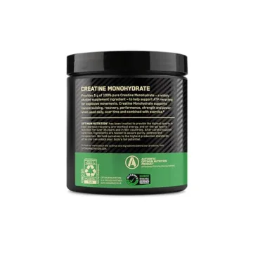 Optimum Nutrition Micronized Creatine for Enhanced Performance