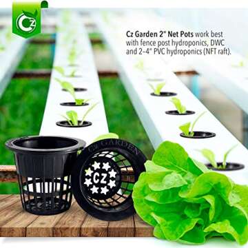 2 inch Net Pots Cups Heavy Duty Round Wide Rim Design for Orchids Hydroponics Aquaponics Slotted Mesh for Kratky Wide Mouth Mason Jars