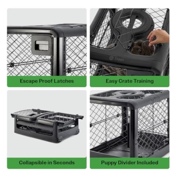 Diggs Revol Dog Crate: Elegant, Durable, and Portable Solution