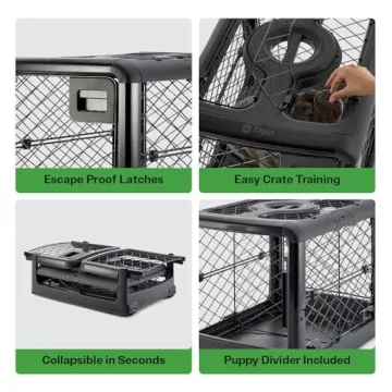 Diggs Revol Dog Crate: Elegant, Durable, and Portable Solution