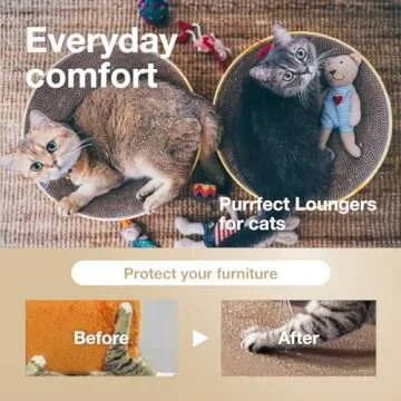 Necoichi Cat Scratcher Bowl - Eco-Friendly Cat Lounge