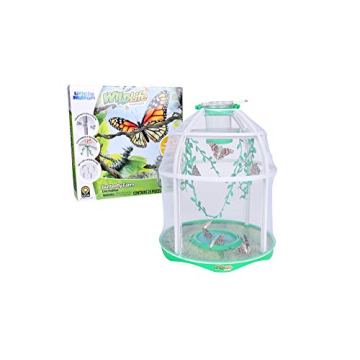 Uncle Milton Butterfly Farm Live Habitat - Observe Caterpillars Transform Into Butterflies, STEM Toy...