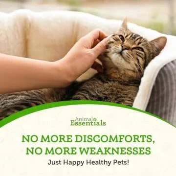 Animal Essentials Seaweed Calcium for Dogs and Cats